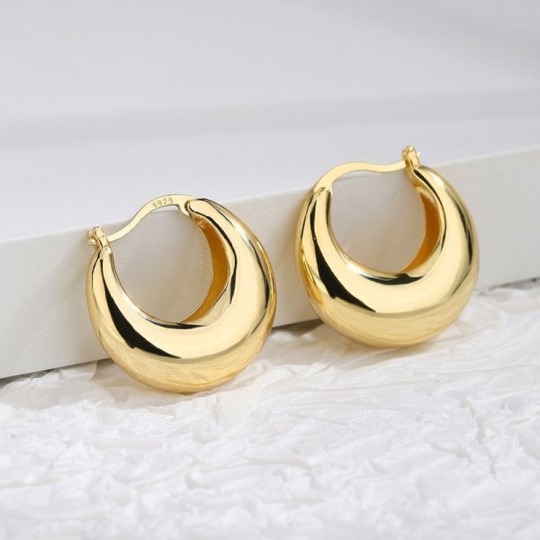 Fashionable Modern Round Brass Earrings